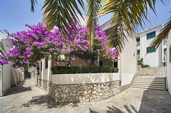 Apartment Lavica Dumicic Podstrana